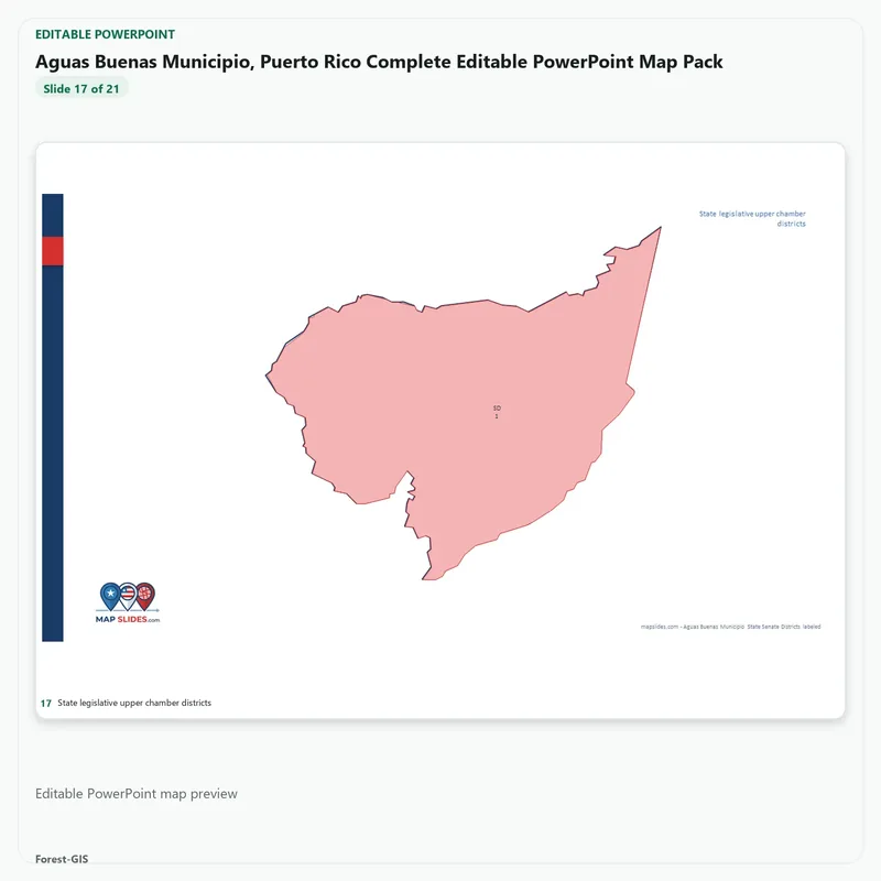 Aguas Buenas Municipio, Puerto Rico Editable Map Pack - Image 5
