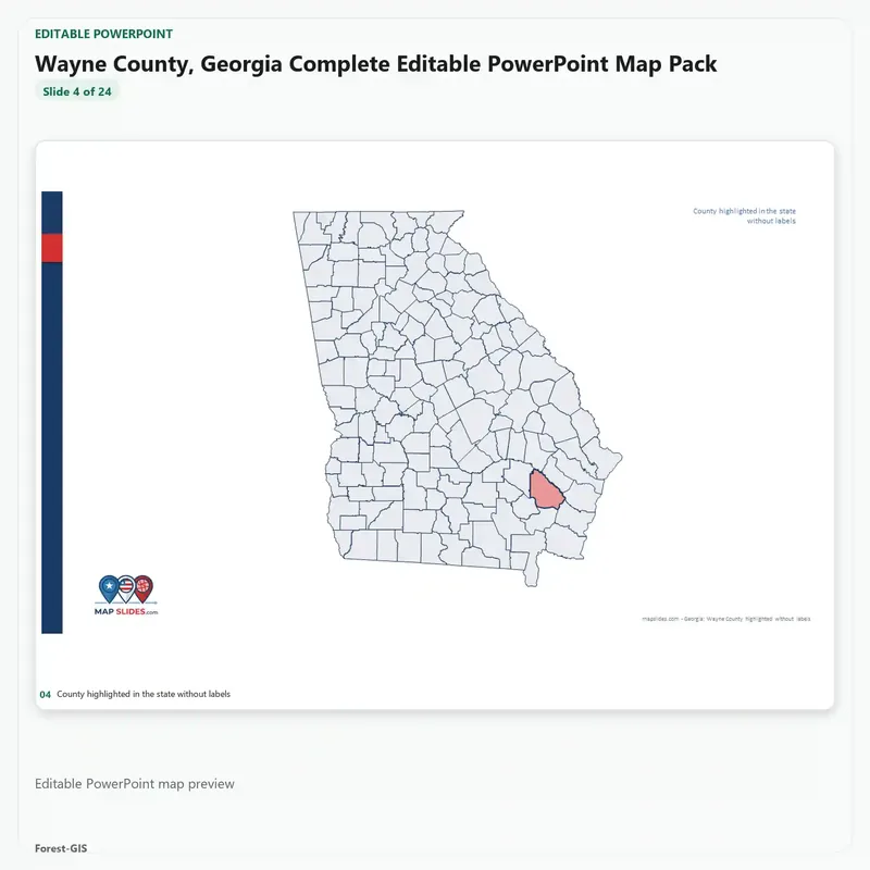 Wayne County, Georgia Editable Map Pack - Image 4