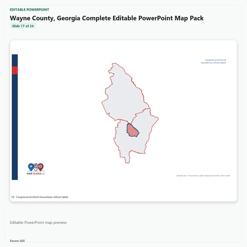 Wayne County, Georgia Editable Map Pack - Image 5